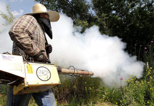 7 Sebab Kenapa Mengabus (Fogging) Tidak Akan Membunuh Nyamuk – Dr Helmy  Hazmi